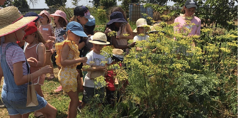 Farm Kids Bees Workshop