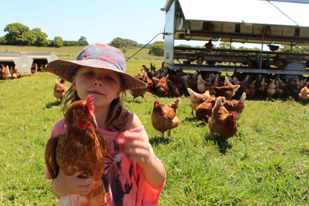 Mini Farmers collecting eggs and feeding animals during a hands on farm session.