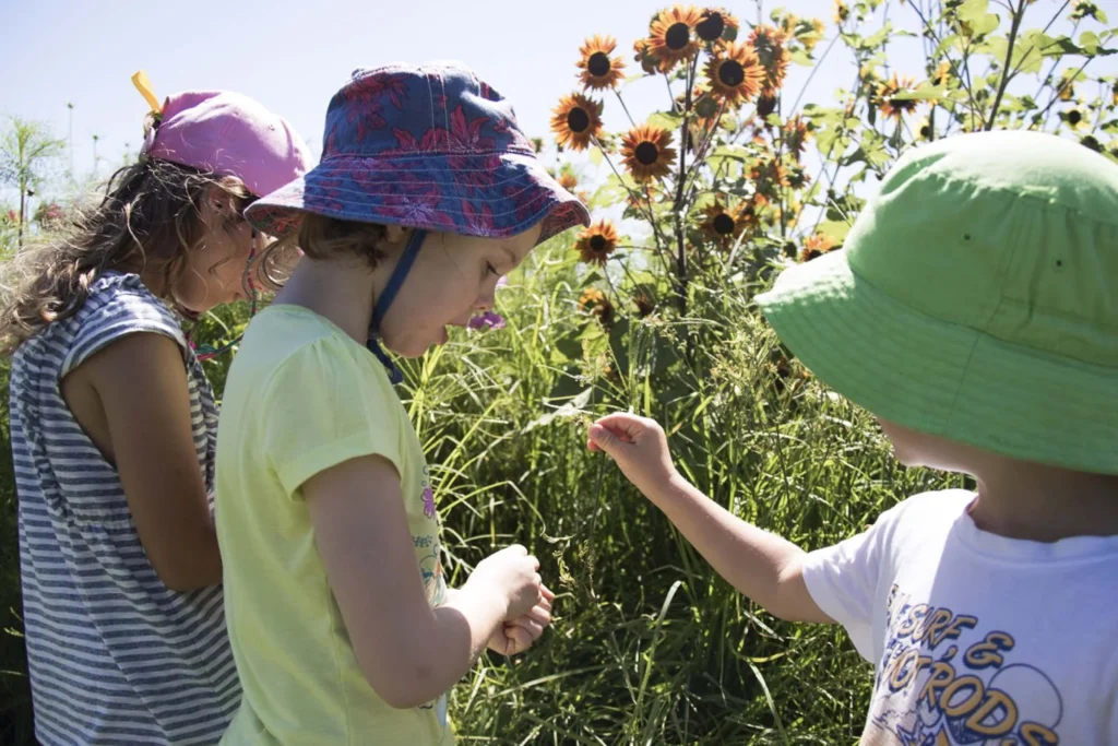 Farm kids Eco Activities at The farm Byron bay