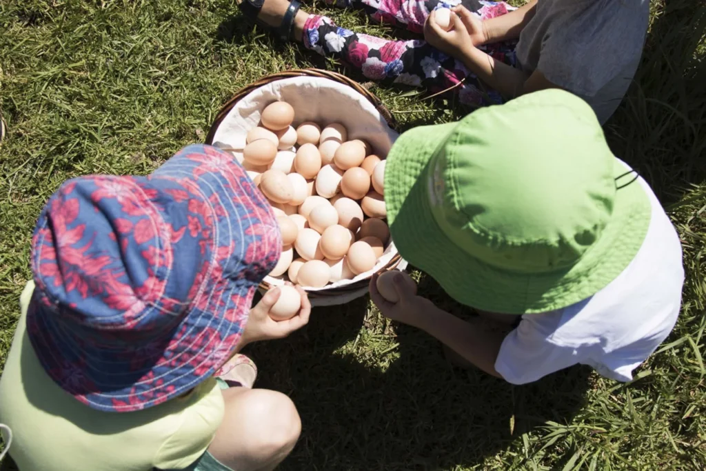 Children gathering Eggs at the farm kids workshop