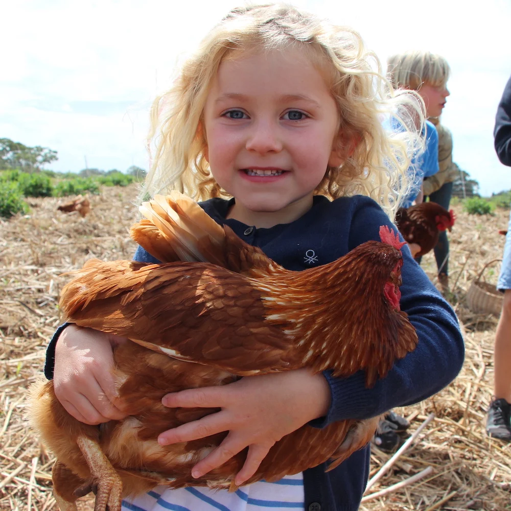 Girl holding chicken at a farm kids program