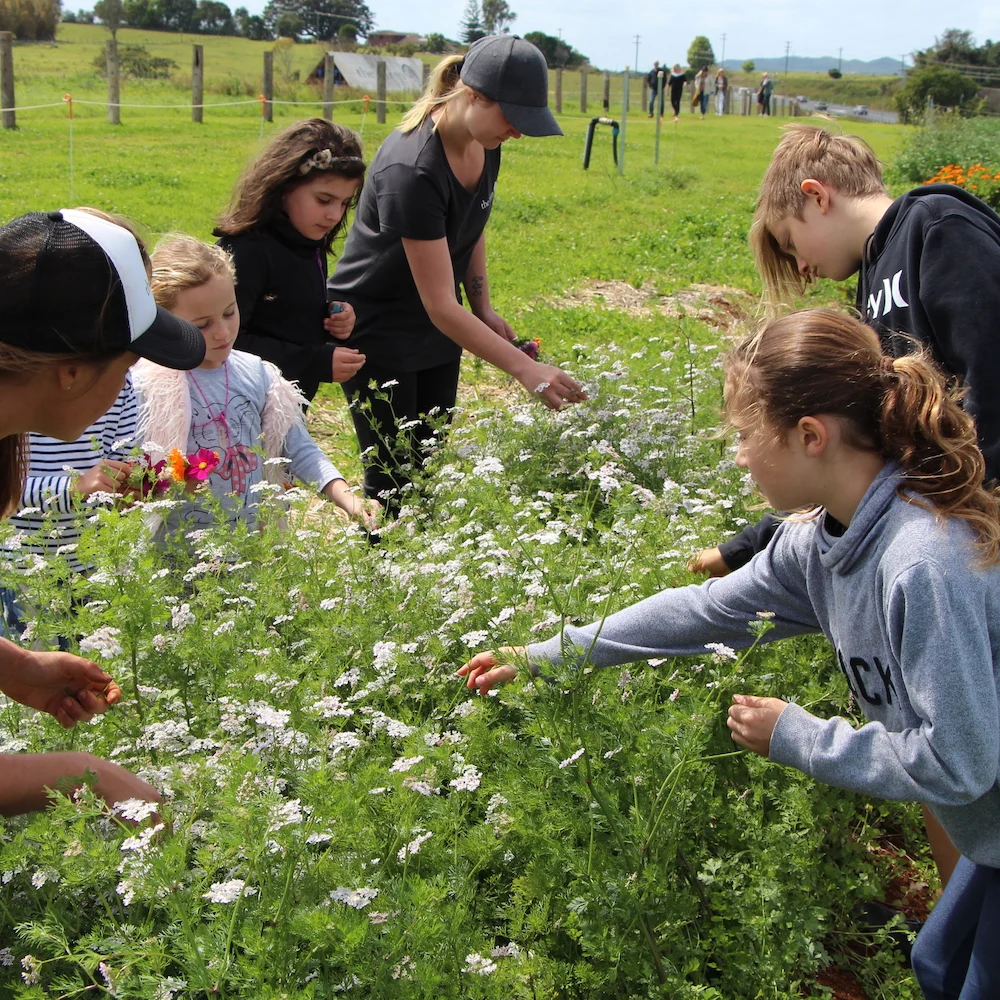 Group of children exploring the garden and picking flowers at the Farm Kids workshop at The farm Byron Bay